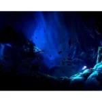 Ori The Collection – Nintendo Switch - Image 3