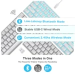 ROYAL KLUDGE RK61 60% Wireless Mechanical Keyboard, White – RK61 - Image 2