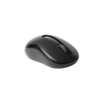 Rapoo M10 PLUS Wireless Optical Mouse, Black