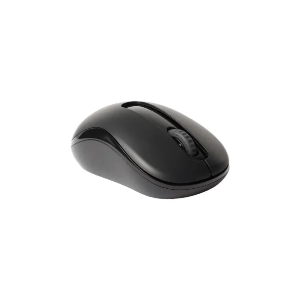 Rapoo M10 PLUS Wireless Optical Mouse, Black