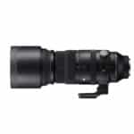 SIGMA 150-600mm F5-6.3 DG DN OS