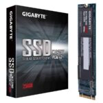 Gigabyte M.2 PCIe 256GB SSD (GP-GSM2NE8256GNTD)