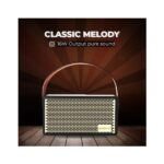 Gizmore GIZ MS516 Portable Speaker Wooden Cabinet With Leather Strap - Image 5