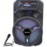 Gizmore T1002 10W Bluetooth Party Speaker