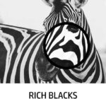 HP 680 Original Ink Advantage Cartridge F6V27AA (Black) - Image 7