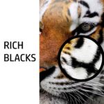 HP 88X Laserjet Toner Cartridge (CC388X, Black) - Image 4