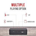 Pebble Basswoods Heavy Bass 16W Bluetooth Speaker - Image 4