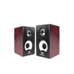 QUANTRON Double Dhamaal QWS-1205 Wired Mini Speaker