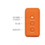 Saregama Carvaan Mini 2.0 Ganesh Speaker - Image 2