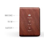 Saregama Carvaan Mini Plus 10W Music Player - Image 3