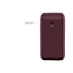 Saregama Carvaan Mini Rabindrasangeet Bluetooth Speaker - Image 4