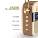 Saregama Carvaan SC130 Hindi Portable Music Player - Image 3