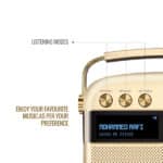 Saregama Carvaan SC130 Hindi Portable Music Player - Image 2