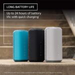 Sony SRS-XE300 X-Series Bluetooth Speaker - Image 2