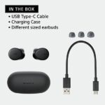 Sony WF-XB700 Bluetooth Wireless Earbuds - Image 3