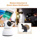 Tenda C80 1080p Full HD Pan & Tilt Cloud Camera - Image 3