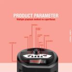 Vingajoy SP-6400 Sound Fit Wireless Speaker with Mic - Image 2