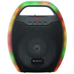 Zebronics Sound Feast 60 10W Output Speaker