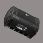 Zebronics Zeb-County 3 Portable Wireless Speaker - Image 3