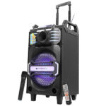 Zebronics Zeb-Moving Monster X10 Trolley DJ Speaker
