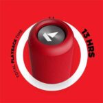 boAt Stone 850 IPX6 16 W Bluetooth Speaker - Image 2