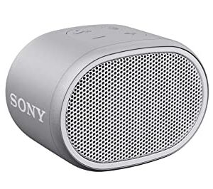 Sony SRS-XB01 Wireless Bluetooth Portable Party Speaker (Gray)