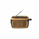 iGear Goldie Radio and Bluetooth Speaker With In -Built Mic - Image 5