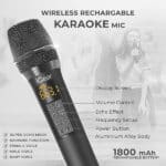 iGear Grape Portable 70W Wireless Speaker With Karaoke Mic - Image 3