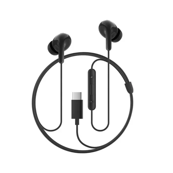 Xiaomi Type-C Earphones with Dual Drivers & Mic
