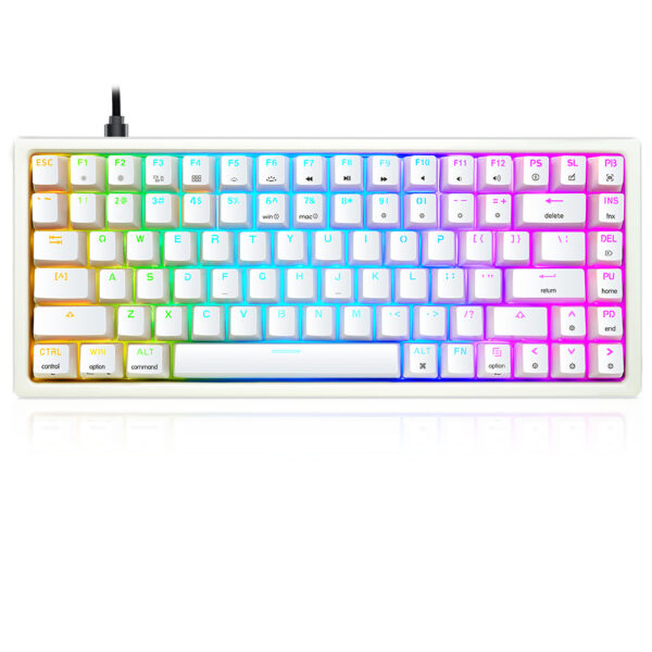 Skyloong GK84 White Tri-mode Wireless RGB Mechanical Keyboard – Brown Switches