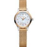 Victorinox SwissArmy Watch – 241879