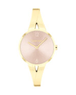 Calvin Klein Watch – 25100027