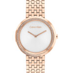 Calvin Klein Watch – 25100038
