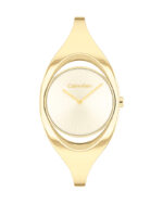 Calvin Klein Womens Watch – 25200422