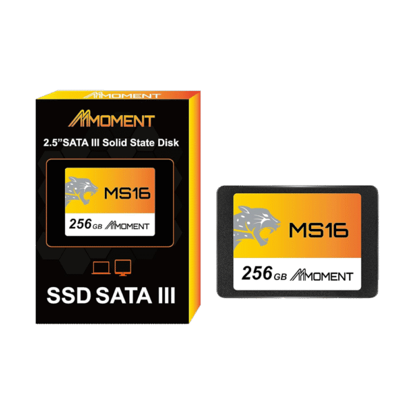256 GB Moment MS16 SATA-III SSD