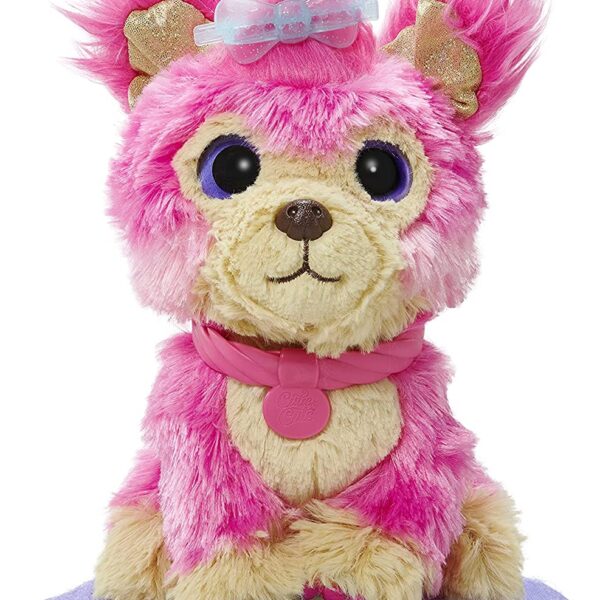 Little Live Scruff-A-Luvs Cutie Cuts