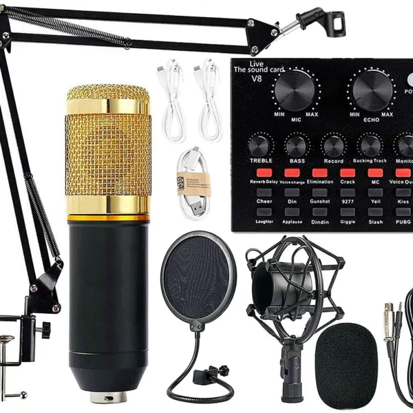 BM 800 Professional Condenser Microphone: Capture high-quality audio with clarity and precision