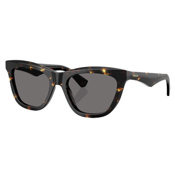 Burberry Sunglasses – BE4435-4106/87-53