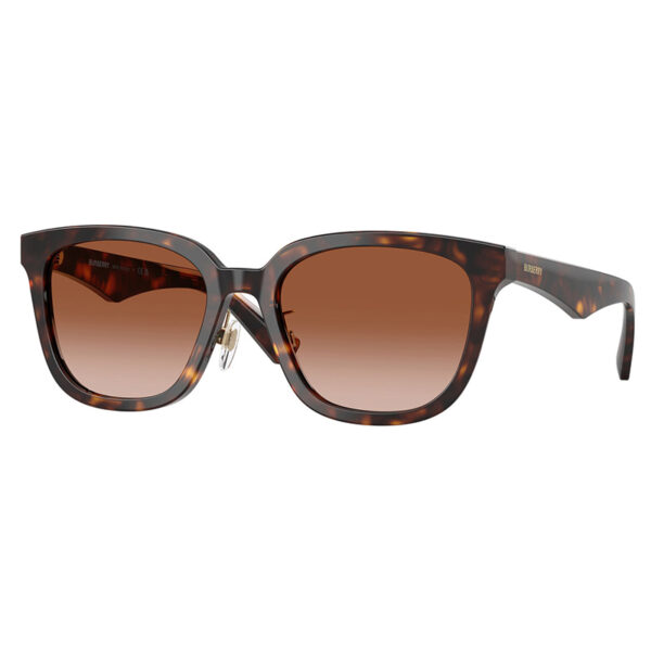 Burberry Sunglasses – BE4446D-3002/13-57