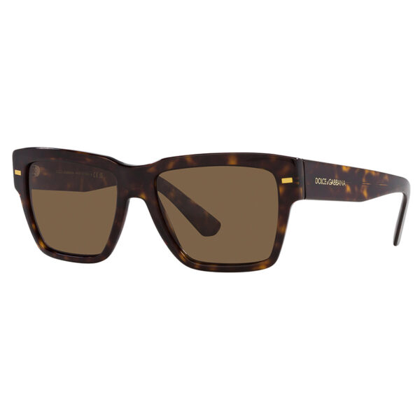 Dolce & Gabbana Sunglasses – DG4431-502/73-55