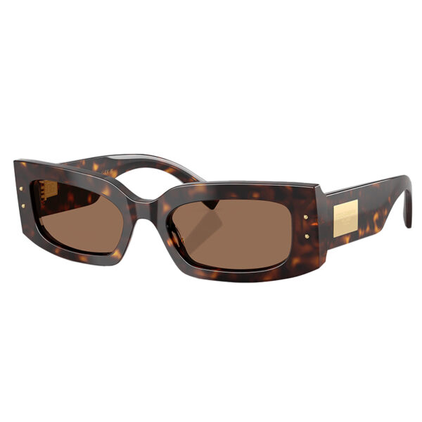 Dolce & Gabbana Sunglasses – DG4479-502/73-55