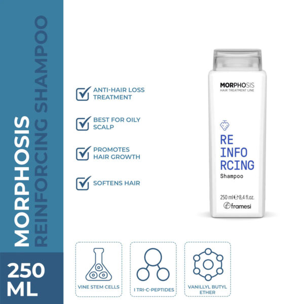 Framesi – Morphosis Reinforcing Shampoo 250ml