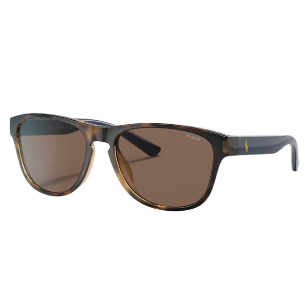 Polo Ralph Lauren Sunglasses – PH4180U-5003/73-56