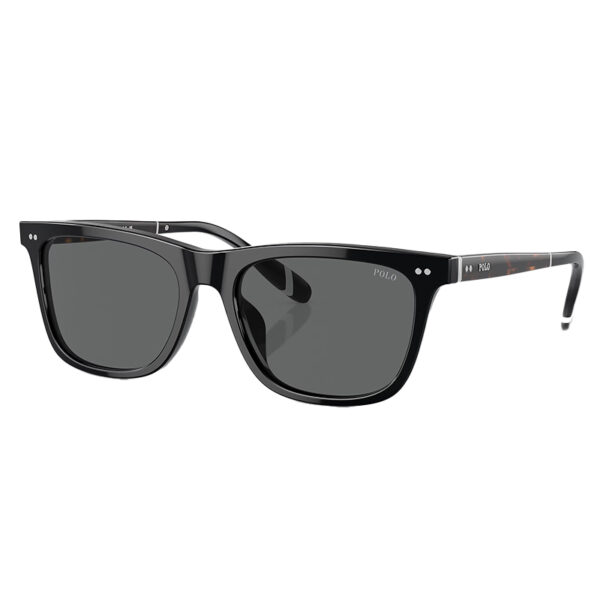Polo Ralph Lauren Sunglasses – PH4205U-5001/87-56