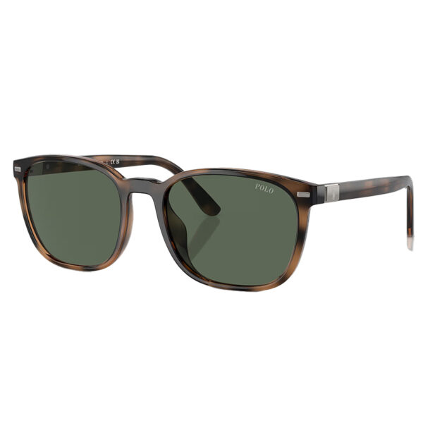 Polo Ralph Lauren Sunglasses – PH4208U-5974/71-55