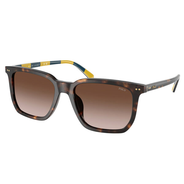 Polo Ralph Lauren Sunglasses – PH4224U-5003/13-55