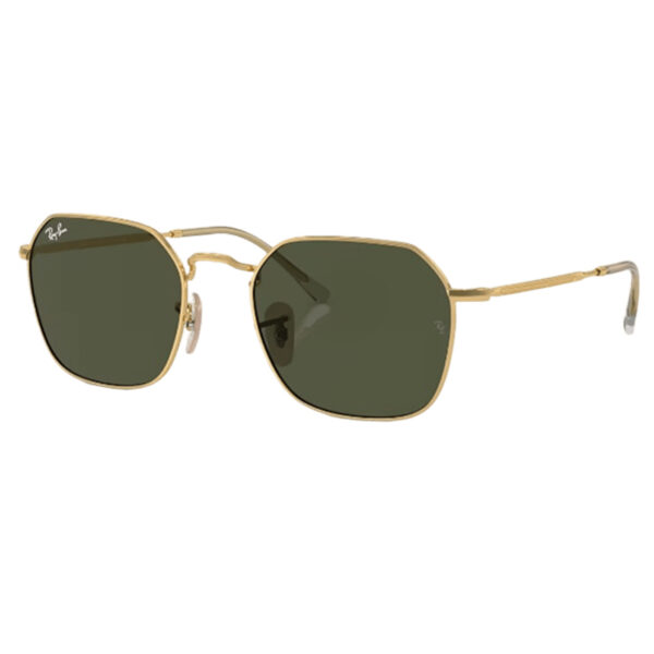 Ray-Ban Sunglasses – RB3694-001/31-53