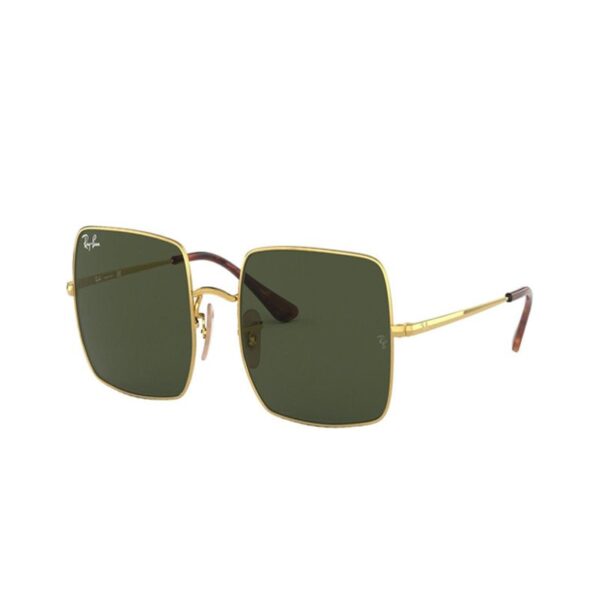 Ray-Ban Sunglasses – RB1971-9147/31-54
