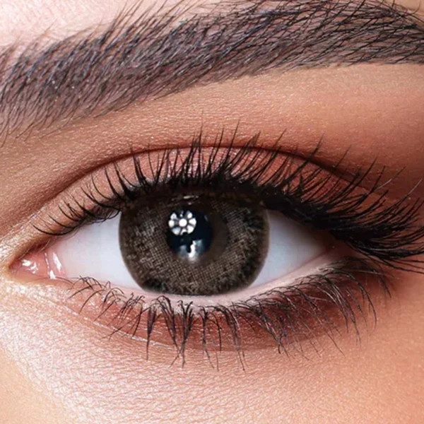 Bella One Day Ash Brown
