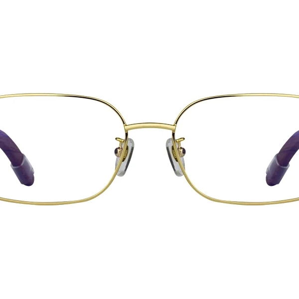 Cartier CT313611